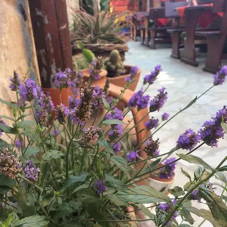 Guest house Gergana